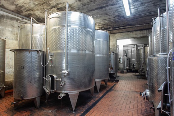 Tenuta Moriano - photo 6