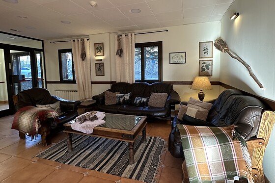 APARTAMENTOS SOLANA, HOTEL TAULL & ROMANIC - photo 9