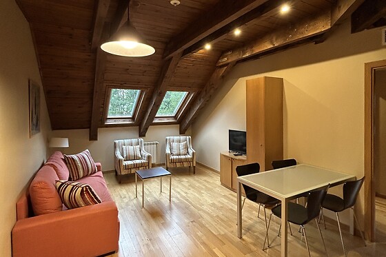 APARTHOTEL SIENTE BOI & SPA - photo 4