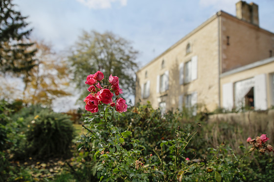 Chambres d'hôtes le Tilleul - photo 5