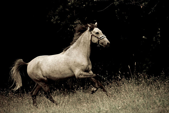 Instinct Photo 76 - photo 3