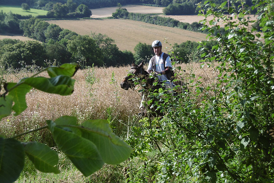 Ecuries Du Grand Chemin - photo 4