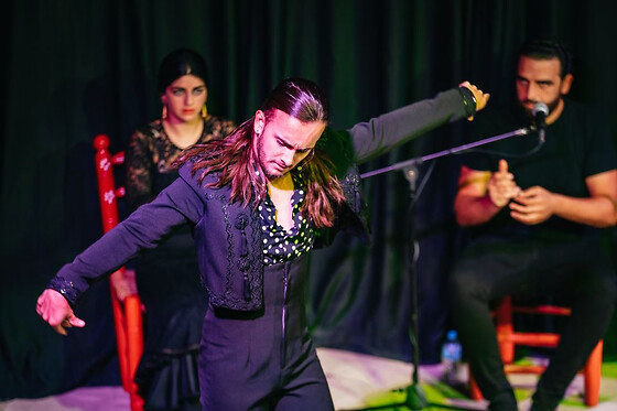 ALBOREA TABLAO FLAMENCO - photo 1