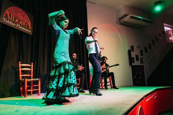 ALBOREA TABLAO FLAMENCO - photo 6