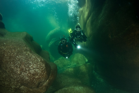 Deep Turtle - photo 4