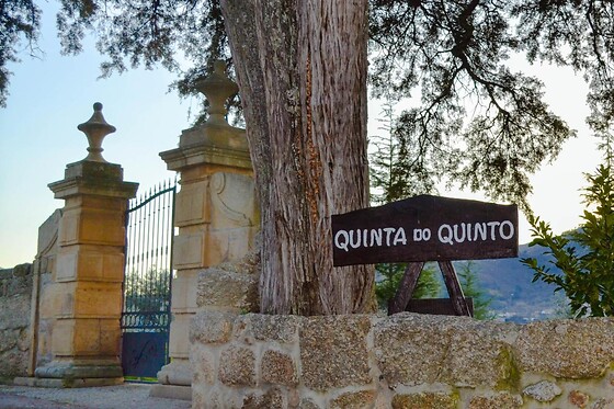 QUINTA DO QUINTO - photo 14