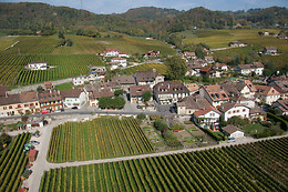 Caves Munier, Laurent Munier SA