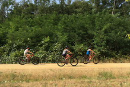 SENSATION VTT
