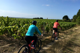 SENSATION VTT