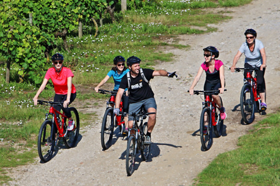 SENSATION VTT - photo 7
