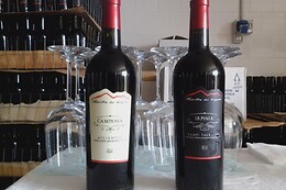 Agriturismo Macchia dei briganti