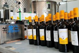 Agriturismo Macchia dei briganti