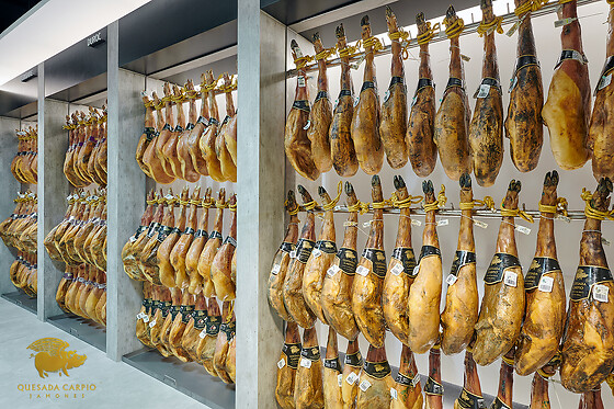 CENTRO DE INTERPRETACIÓN DEL JAMON QUESADA CARPIO - photo 10