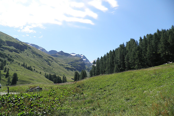 Crasta Padrun Barbara - photo 6