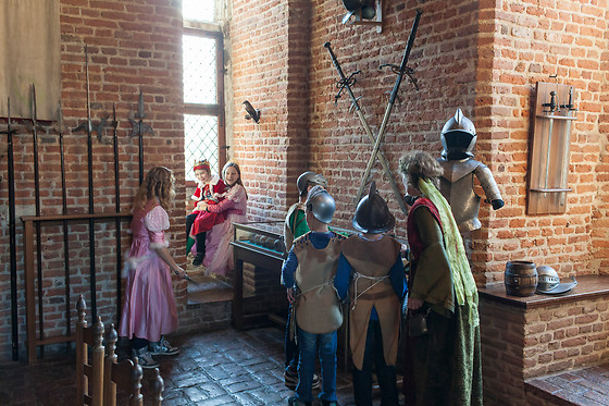 Kasteel Huis Bergh - photo 1