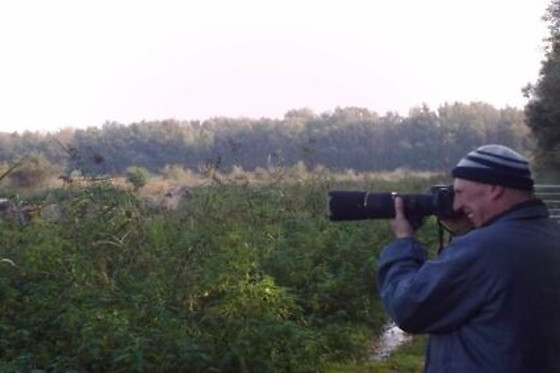Birding Holland Oostvaardersplassen - photo 2