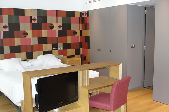 HOTEL RESORT BALNEARIO DE PANTICOSA - photo 19