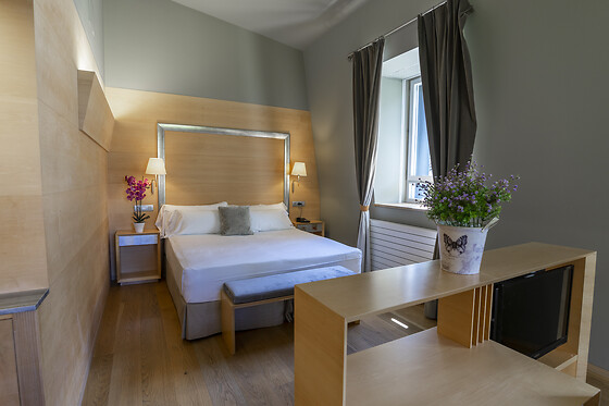 HOTEL RESORT BALNEARIO DE PANTICOSA - photo 15