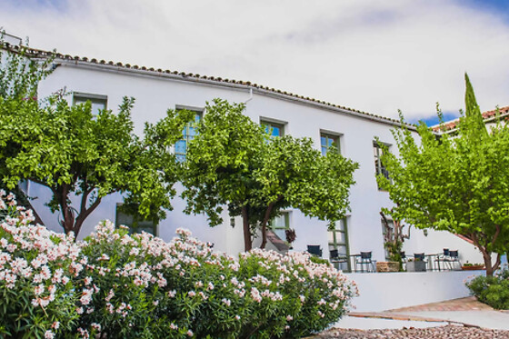 HOTEL MOLINO DEL ARCO - photo 11