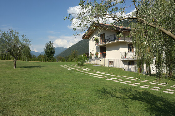 B&B La Meridiana - photo 5