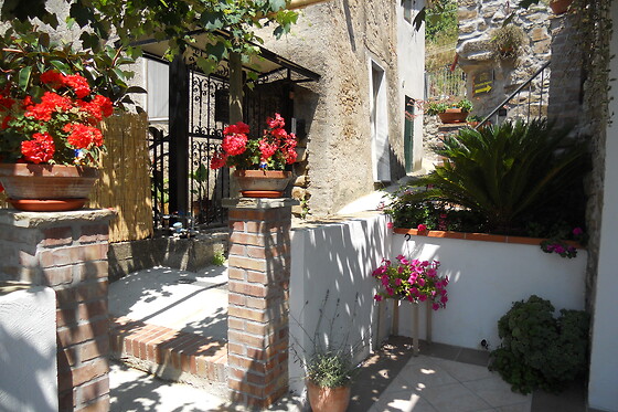 Il Giardino Segreto - photo 3
