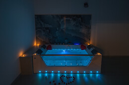Zizza Wellness