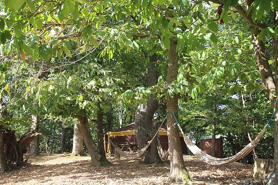 Au Bois D'Escoumos - photo 5