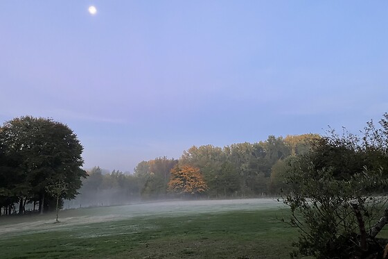 Aquakine - photo 1