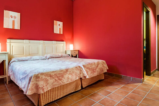 HOTEL PALACIO LAS MANILLAS - photo 2