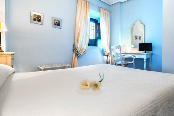 HOTEL PALACIO LAS MANILLAS - photo 9