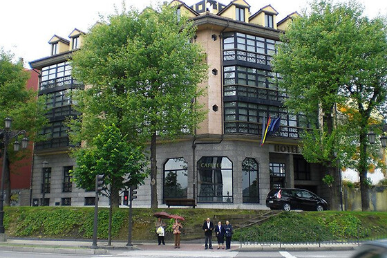 HOTEL ASTURES - photo 6