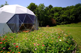 Glamping That's Life