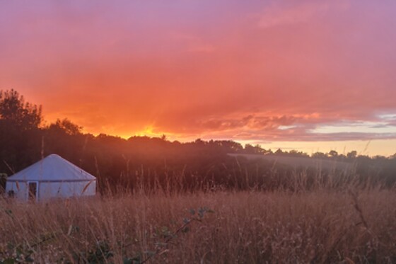 Du Gîte à la Terre - photo 5
