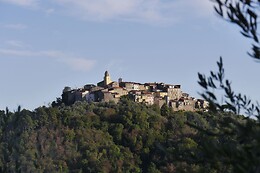 Azienda Agricola la Sarticola