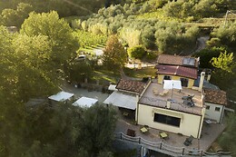 Azienda Agricola la Sarticola