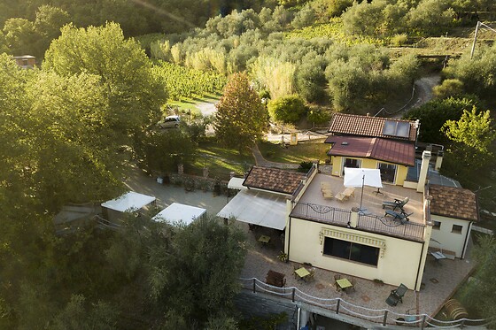 Azienda Agricola la Sarticola - photo 9