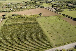 Azienda Agricola la Sarticola