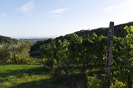 Azienda Agricola la Sarticola