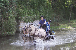 Attelage passion