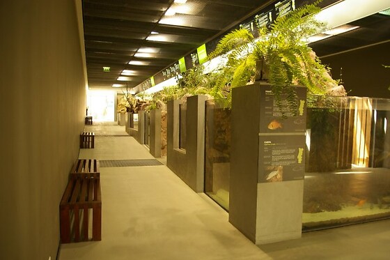 FLUVIÁRIO DE MORA - photo 3