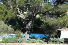 Château des Coccinnelles