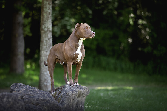 CH Photographe - photo 2