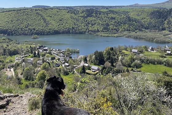 Bougnat Bushcraft - photo 3