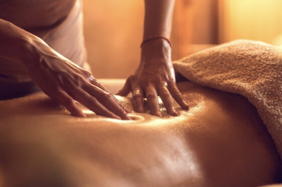 SPA Perle d'Etoile - photo 8
