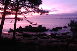 HOTEL BOSQUE MAR