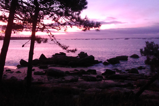 HOTEL BOSQUE MAR - photo 20