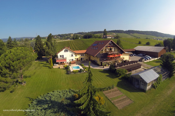 Domaine La Capitaine vins BIO - photo 3