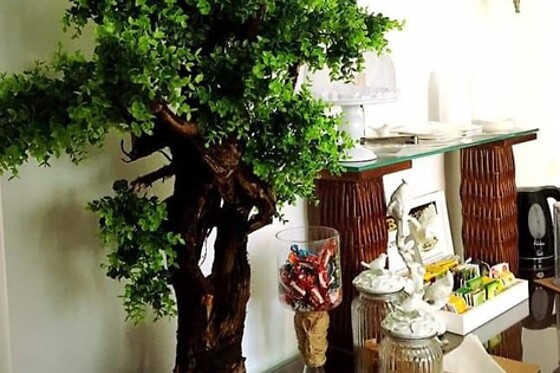 Bamboo - Clínica de Estética - photo 3