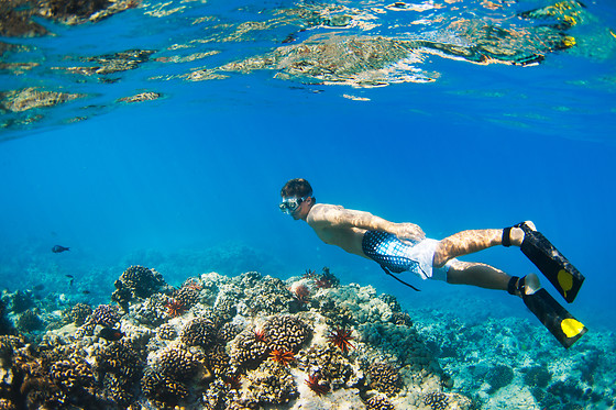 TOSSASUB DIVING CENTER - photo 11