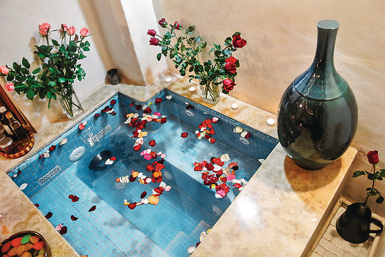 Samira Riads - photo 1